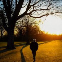 Olcay KARAHAN (@karahantrader) 's Twitter Profile Photo