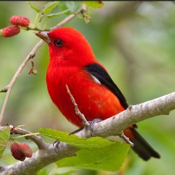 insiyakhuram's profile picture. I am not a financial advisor This information is for general knowledge only and should not be taken as financial advice