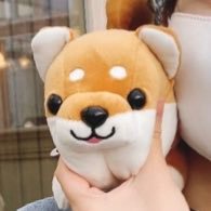 ｶﾝﾁｬﾝｻﾝ (@shika_nako_) Twitter profile photo