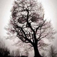 raym6661 (@rayraym6661) 's Twitter Profile