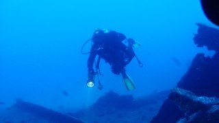 maglio71's profile picture. Libero pensatore