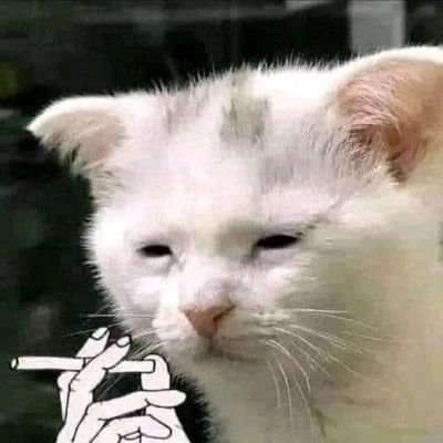 dmario1599's profile picture. ~(￣▽￣)~