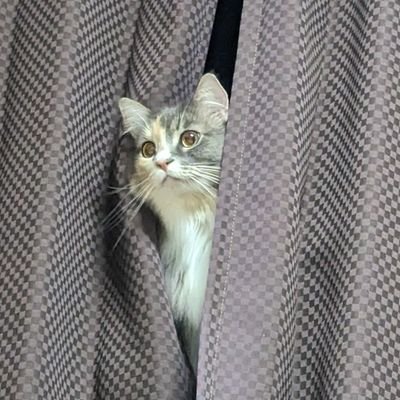 kimaさんのプロフィール画像