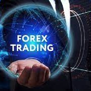 Forex Trader