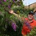John's Garden (@johnsgardenash) Twitter profile photo John's Garden (@johnsgardenash) Twitter profile photo