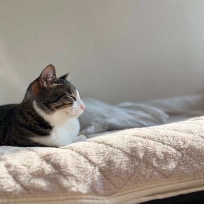 rkzt1n's profile picture. 