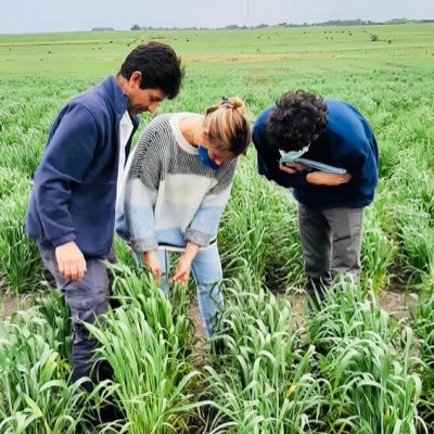 Breeding for Disease Resistance | Cereal Rusts @INIA_UY | Wheat | Barley | Alumnus @WheatLab @KState