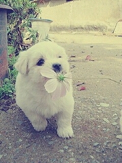 ksj0777's profile picture. 