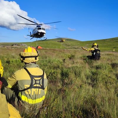 ccarlos8x's profile picture. Vivir la vida