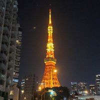 白柴ゴロー/目指せ年間配当百万円 (@beginner0909) 's Twitter Profile