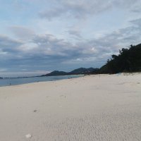 ngoccanhysk (@ngoccanh381036) 's Twitter Profile