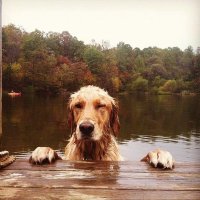 RCortney (@_rcortney) 's Twitter Profile