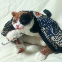 むらたま(MUTTA) (@bokeco) 's Twitter Profile Photo むらたま(MUTTA) (@bokeco) 's Twitter Profile Photo