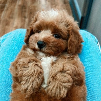 random person hereさんのプロフィール画像