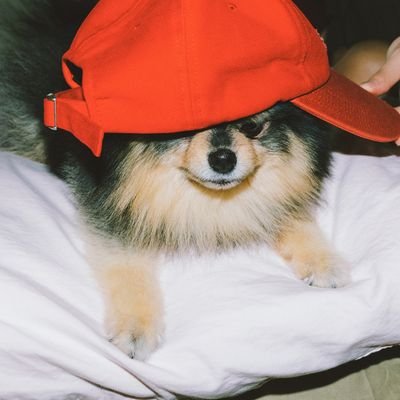 방탄소년단  보라해♡
テテ🐻強め、マンネライン🧸🐰🐥からのオルペン💜そう、でも結局ﾓｼﾞﾓｼﾞして全員大好きって言っちゃう。
表には出してないけど無意識領域にはユンギさんがガッツリ住みついてマス……🐱ﾆｬ