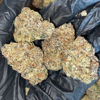 ION KNOW WHAT YO PLUG 🔌 TALMBOUT BUT IM HAVING REAL ZA AND STOMPING ON WHOEVER PRICES. 🤷🏾♂️💯. IF YOU LOOKING FO REAL ZA TAPP ALL THE WAY TF IN. 🔥 🌲 ⛽