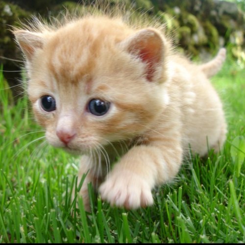 Sunshine9331's profile picture. Baseball lover, 범죄자는 나이와 성별 불문하고 모두 처벌 받아야 한다.