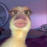 malokaaa² (@malak_matouk) 's Twitter Profile