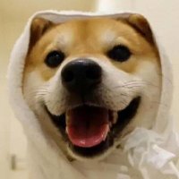 Cike (@0xcike) 's Twitter Profile