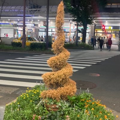 ざとぅさんのプロフィール画像