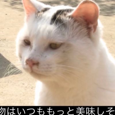勉強·整形·美容·就活など雑多垢 最近は口元のたるみ改善、中顔面.鼻翼基部陥没・奥目の緩和について調べています。いずれ歯列矯正も考えています。リプ通知こないです