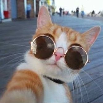 AObeitor's profile picture. Hello
UYZRBFMR