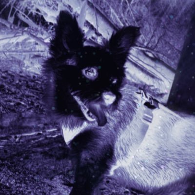 brandonaritchie's profile picture. 