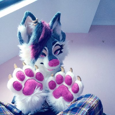 Rook is goneさんのプロフィール画像