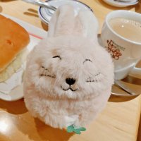 きゆ (@kiyu_zer0) 's Twitter Profile Photo きゆ (@kiyu_zer0) 's Twitter Profile Photo