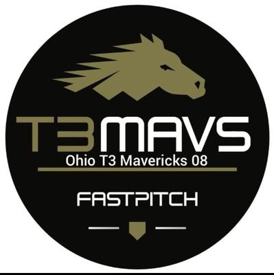 T3 Mavericks '08 Head Coach 🥎 Johnson #0, Green #10, Pugh #11, Wright #15, Cirino #22, Presser #33, Pemberton #41, Hechko #77, Racz #82, Stief #93, Loucka #99