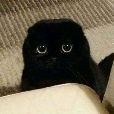 @PDRTulll
