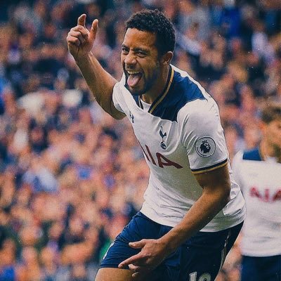 Canadian based Tottenham Hotspur Football Club supporter , Sports enthusiast and just a chill guy