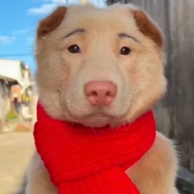 Kongkeke91's profile picture. 