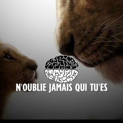 GENTLEBAYEFALL's profile picture. Mouridoulah/Aviator/car lover /passionnés des histoires islamiques/un CURIEUX /sante kep nak 🙌🍀❤️