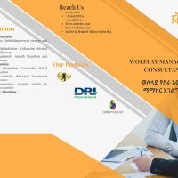 Wolelay Managenent Consultancy ወለላይ የስራ አመራር ማማከር (@fikre54865004) 's Twitter Profile