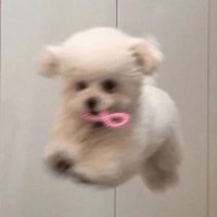 𝙢𝙖𝙧𝙪 ❤︎ (@_kirakiraotaku_) Twitter profile photo