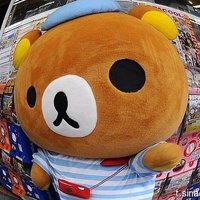 얼음별통신 (@21c_iceage) 's Twitter Profile