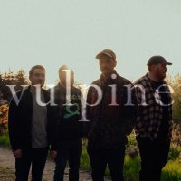 Vulpine (@wearevulpine) 's Twitter Profile