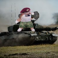 Twist (@twistycb) 's Twitter Profile
