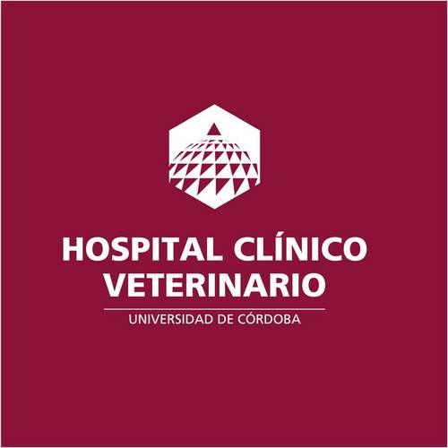 Hospital Clínico Veterinario de la Universidad de Córdoba
https://t.co/eVVEqjUVWS 957 21 21 50