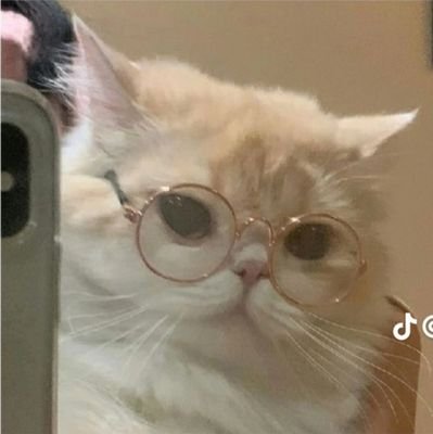 ✨🫶🏻 13/3/61 🫶🏻✨

ง่วงทั้งวัน 😴
