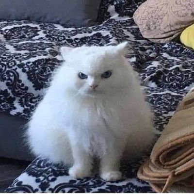 2023_liz71917's profile picture. 