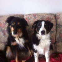 ... (@detector_trader) 's Twitter Profile Photo