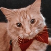 Kal ✧・゚ (@snootatboot) 's Twitter Profile