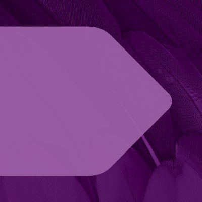 Dentons Profile