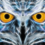 A digital owl.