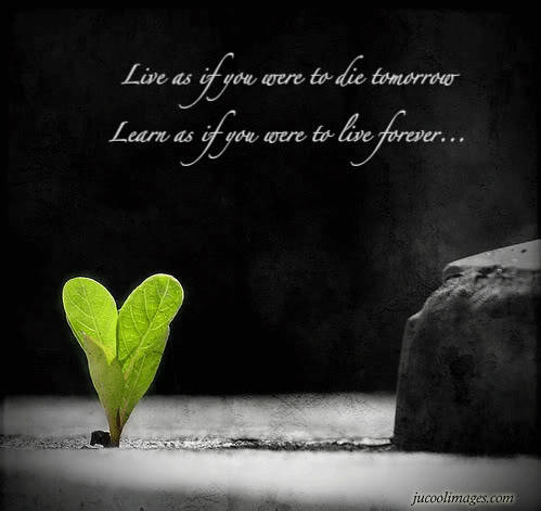 Fantastic_Quote's profile picture. Tweeting the Best Quotes to motivate all.