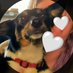 Camryn (@camrynmartha118) Twitter profile photo Camryn (@camrynmartha118) Twitter profile photo