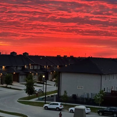 William5048879's profile picture. 