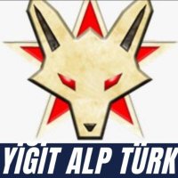 Yiğit Alp Türk(@YiitSmt1) 's Twitter Profile Photo